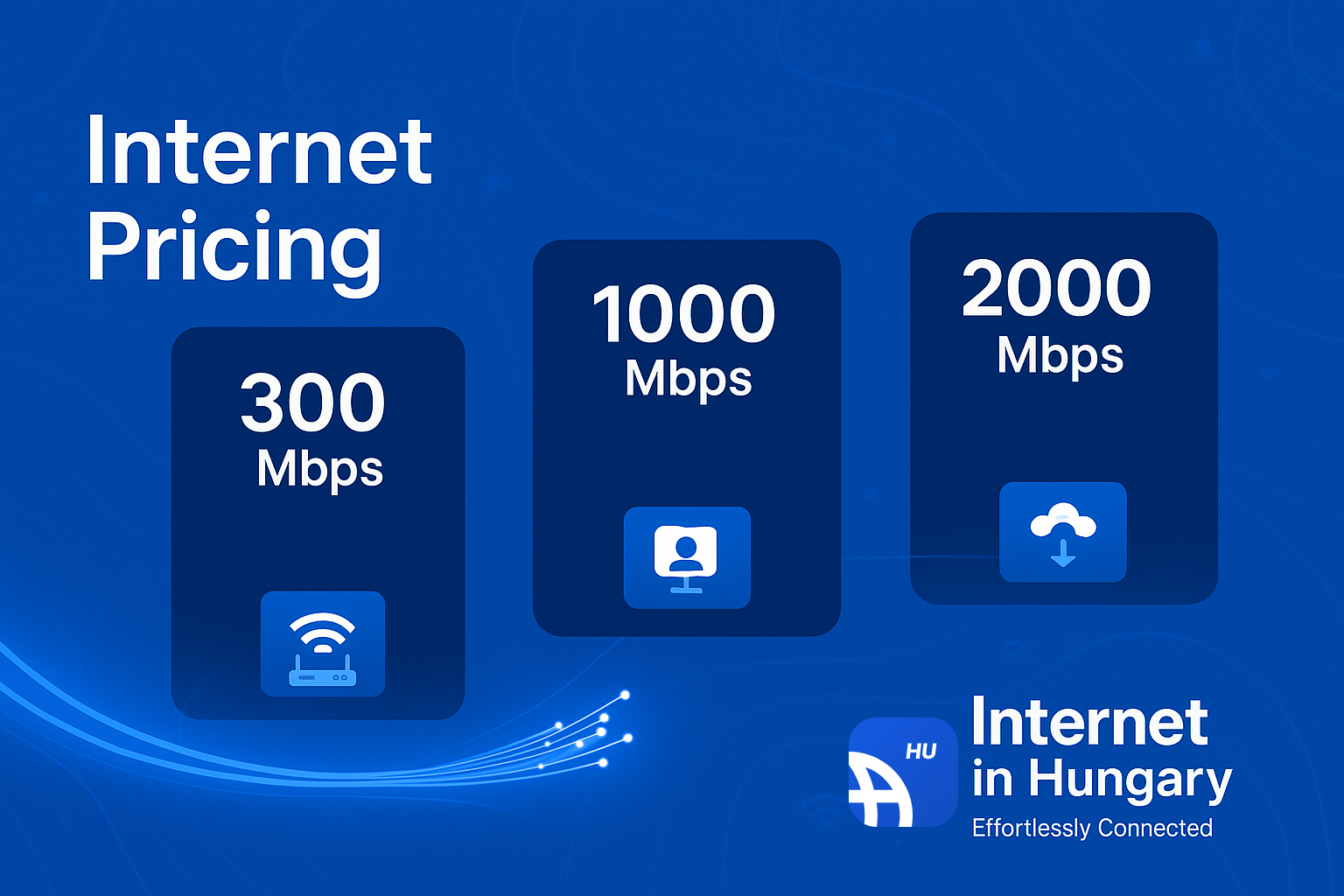 Internet Pricing in Hungary