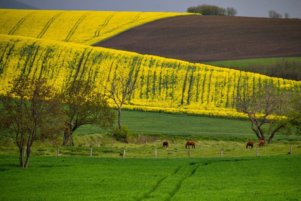 Internet op het platteland in Hongarije: wat zijn je opties? 1 Internet op het platteland in Hongarije